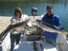 (09/29/2016) - Nice Striped Bass